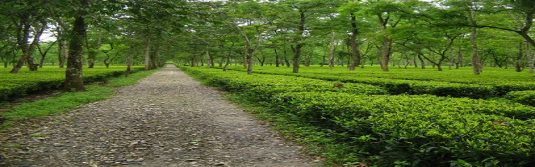 maharastra